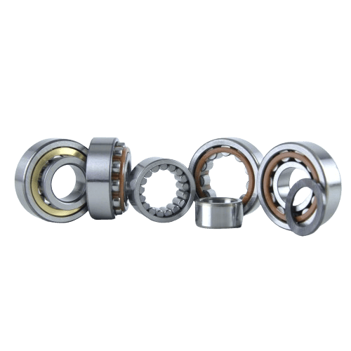 Single and multi row cylindrical roller bearings